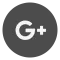 Google+